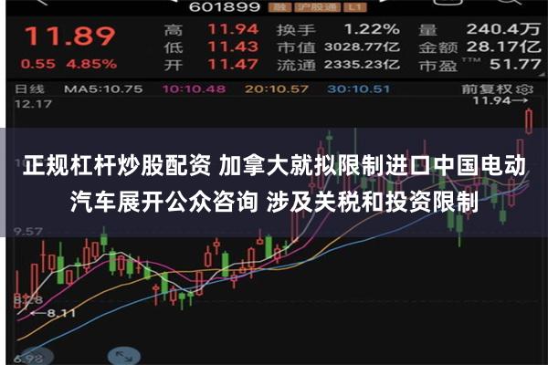 正规杠杆炒股配资 加拿大就拟限制进口中国电动汽车展开公众咨询 涉及关税和投资限制