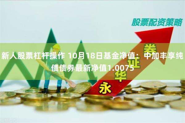 新人股票杠杆操作 10月18日基金净值：中加丰享纯债债券最新净值1.0075